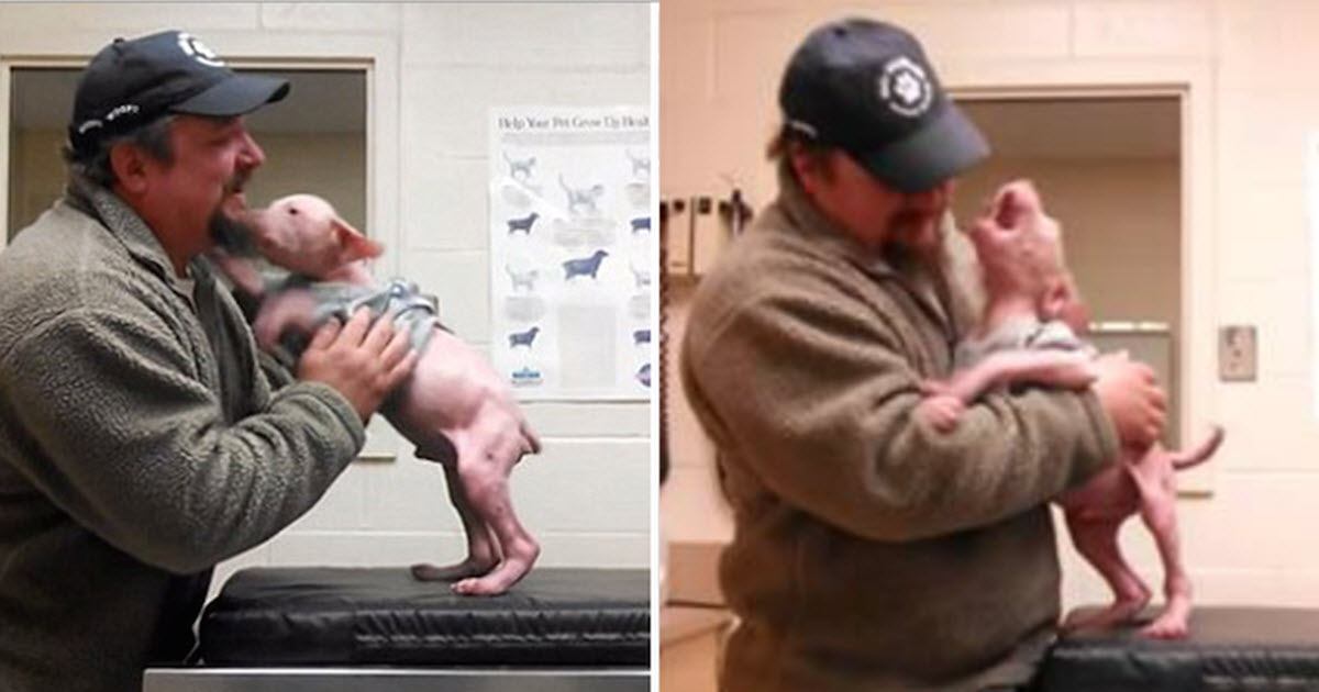 man-returns-to-adopt-the-dog-he-rescued-and-the-pup-couldnt-be-happier